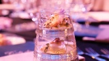 gallery Catering galerie 3